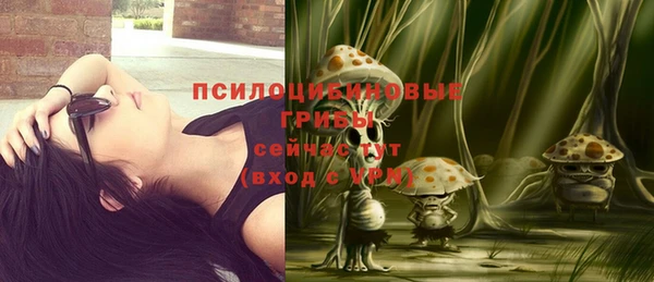 винт Баксан